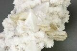 Milky, Candle Quartz Crystal Cluster - Inner Mongolia #226023-2